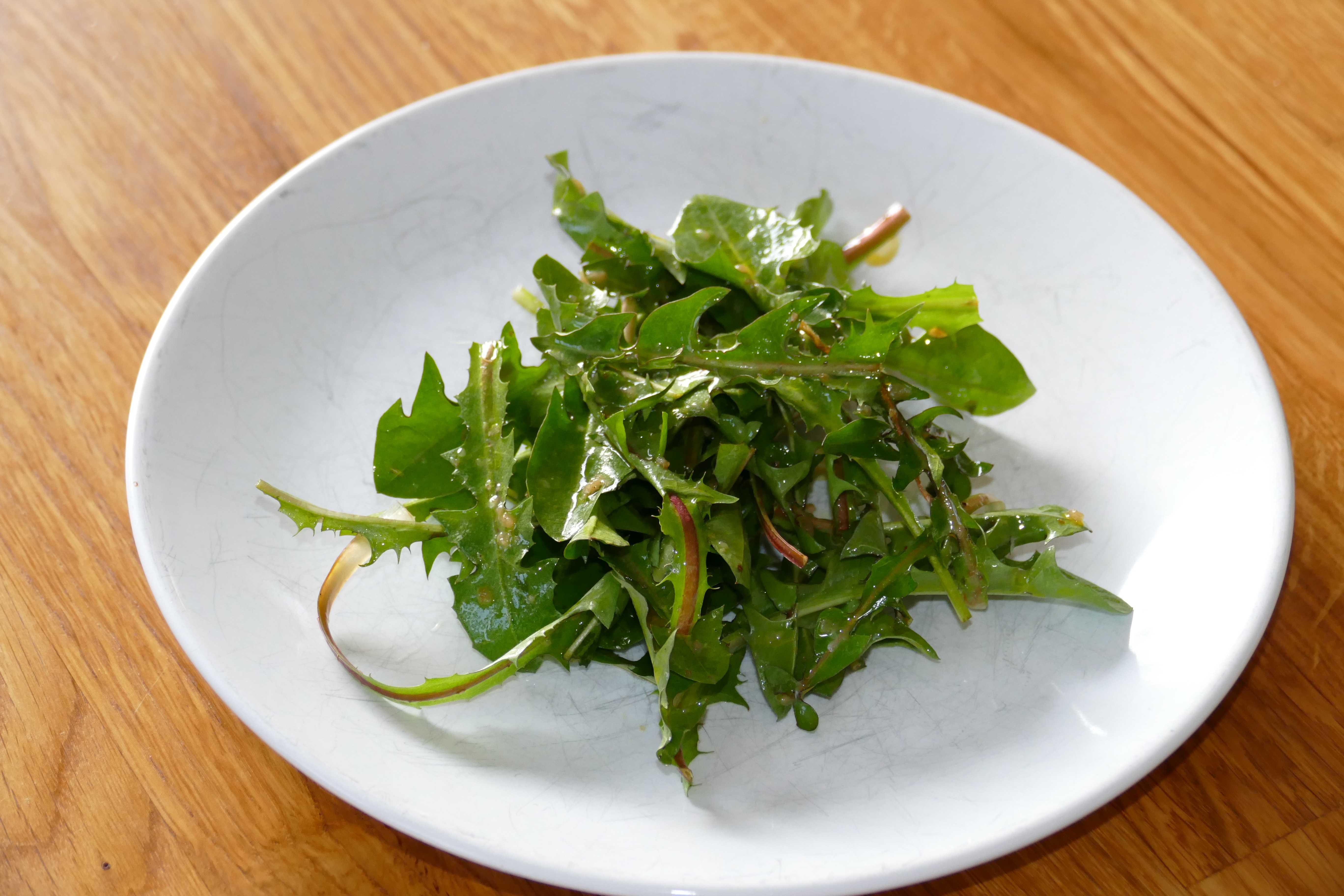 Löwenzahn-Salat (oder: ein echter Salat „to-go“) | Irgendwas geht allerweil